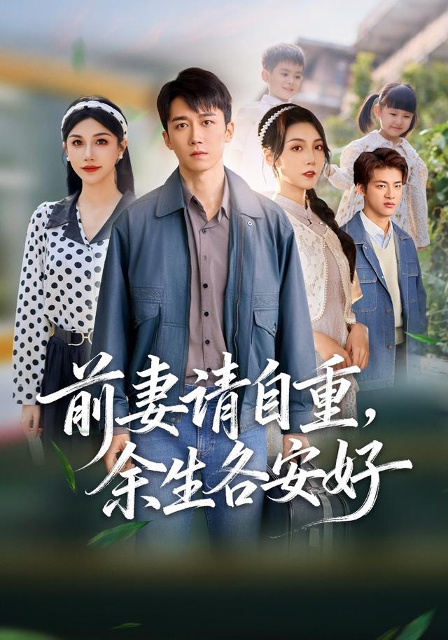 前妻请自重余生各安好封面图