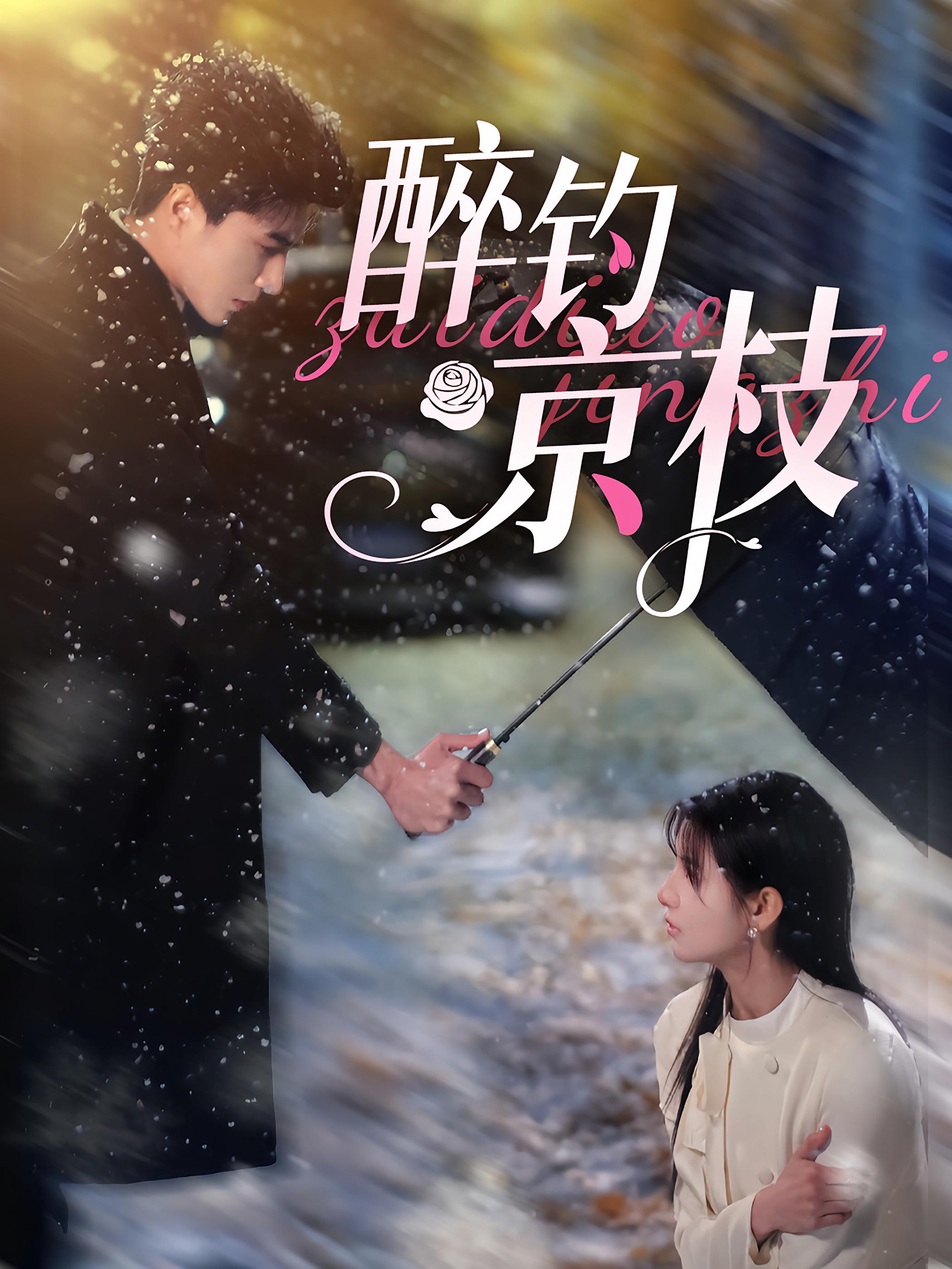 醉钓京枝 都市情感·都市·全93集 王槿&李柏言&曾澄