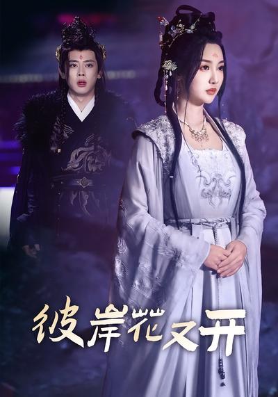 彼岸花又开封面图