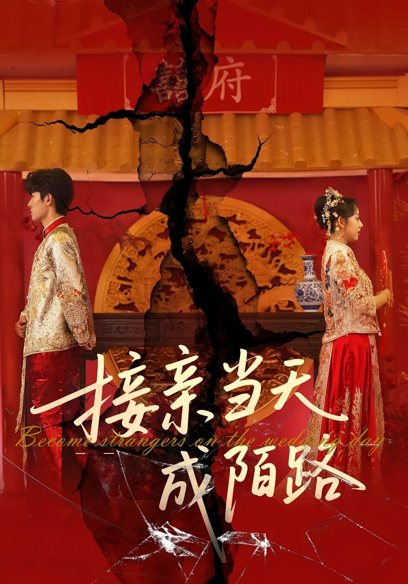 接亲当天成陌路 都市日常·都市·全50集 张若曦&陈梓龙&佳音