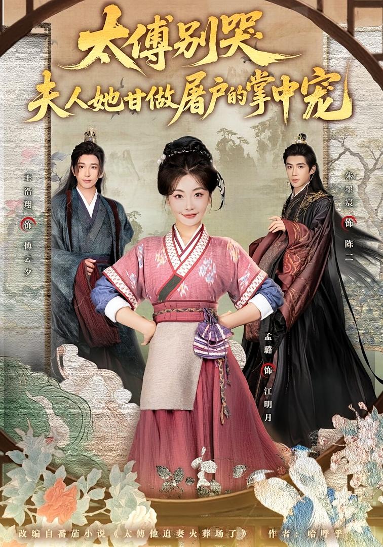 太傅别哭，夫人她甘做屠户的掌中宠 古风言情·马甲·全80集 孟璐&王浩翔&王盛楠