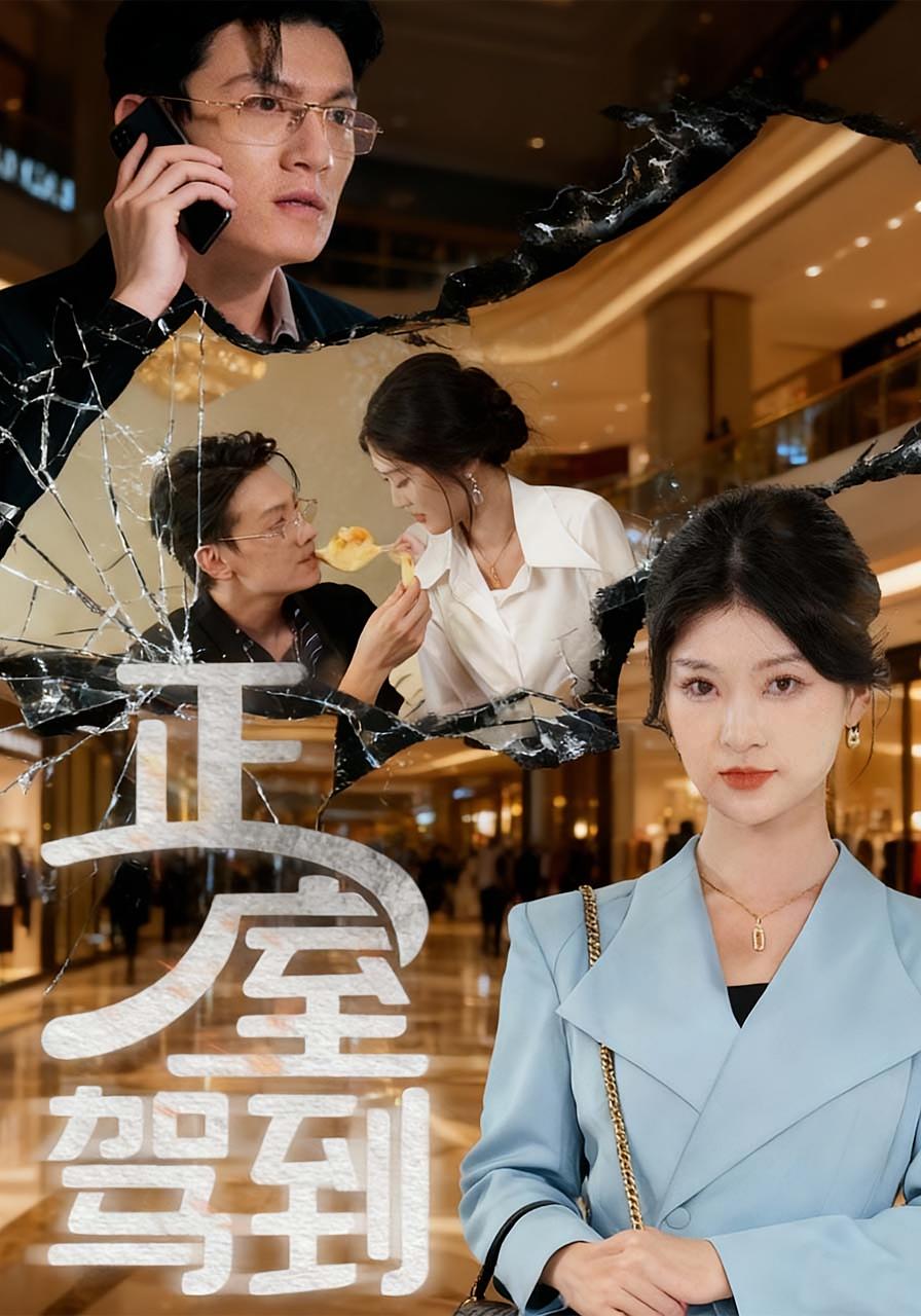 正室驾到 女性成长·都市·全55集 陈泓龙&丁语乔