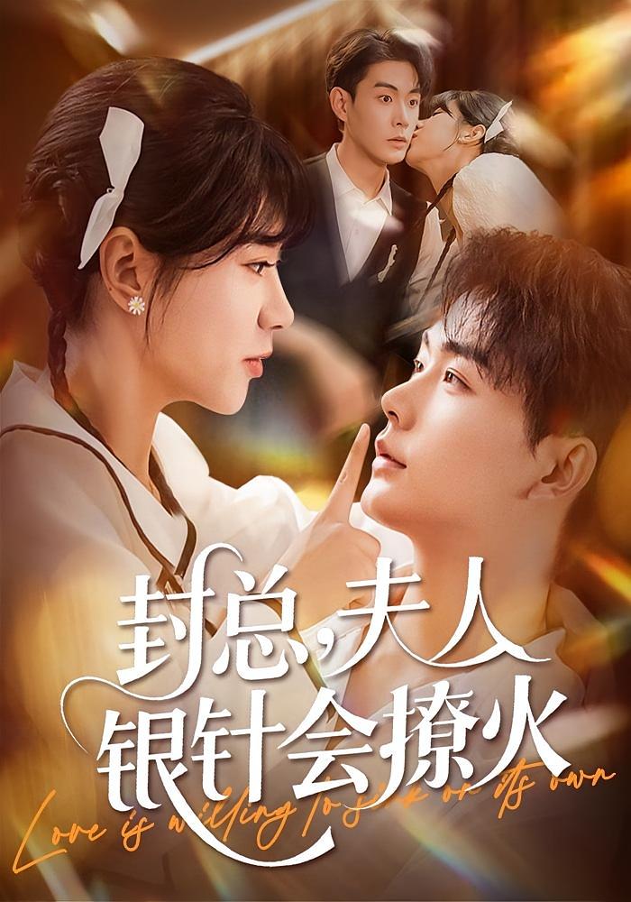 封总，夫人银针会撩火 都市情感·替嫁·全69集 徐小舒&乔佳乐&彭京粉