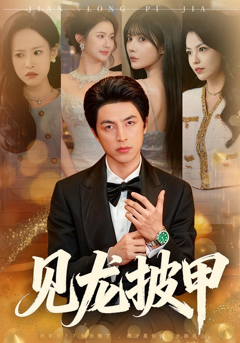 见龙披甲 赘婿逆袭·马甲·全70集 吴昊&王雨薇&梅国洲