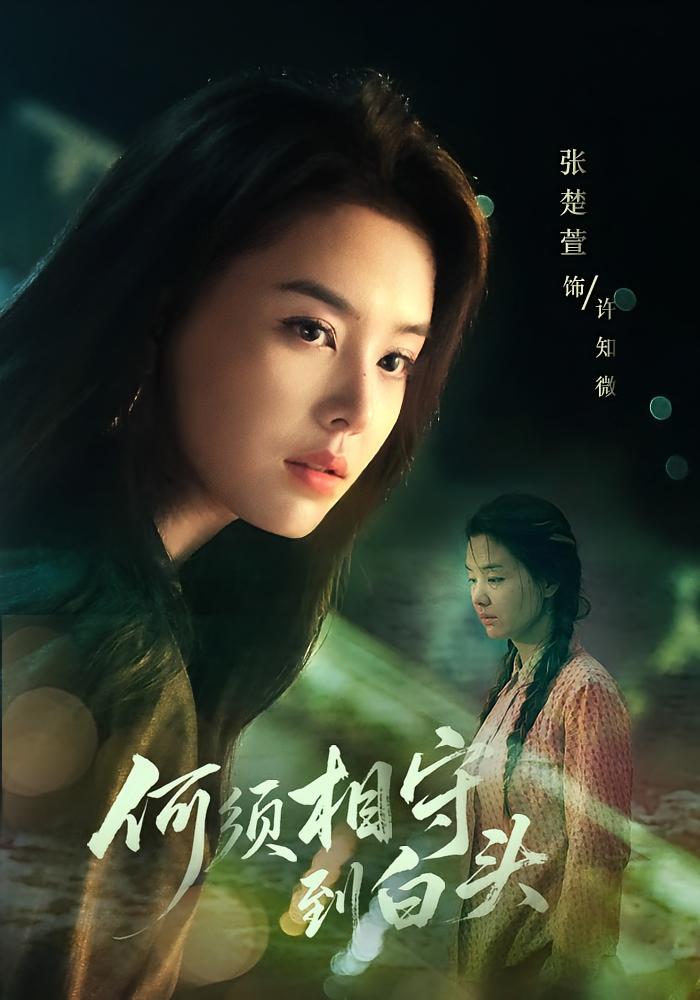 何须相守到白头 现言虐恋·都市·全77集 傅汉源&张楚萱&朱青青