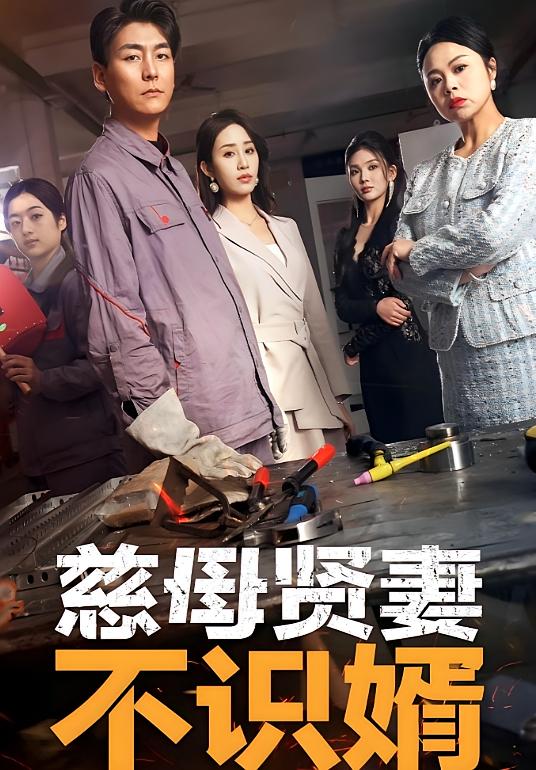 慈母贤妻不识婿 都市日常·逆袭·全45集 王亚迪&李蓁蓁（蓉儿）&李新新