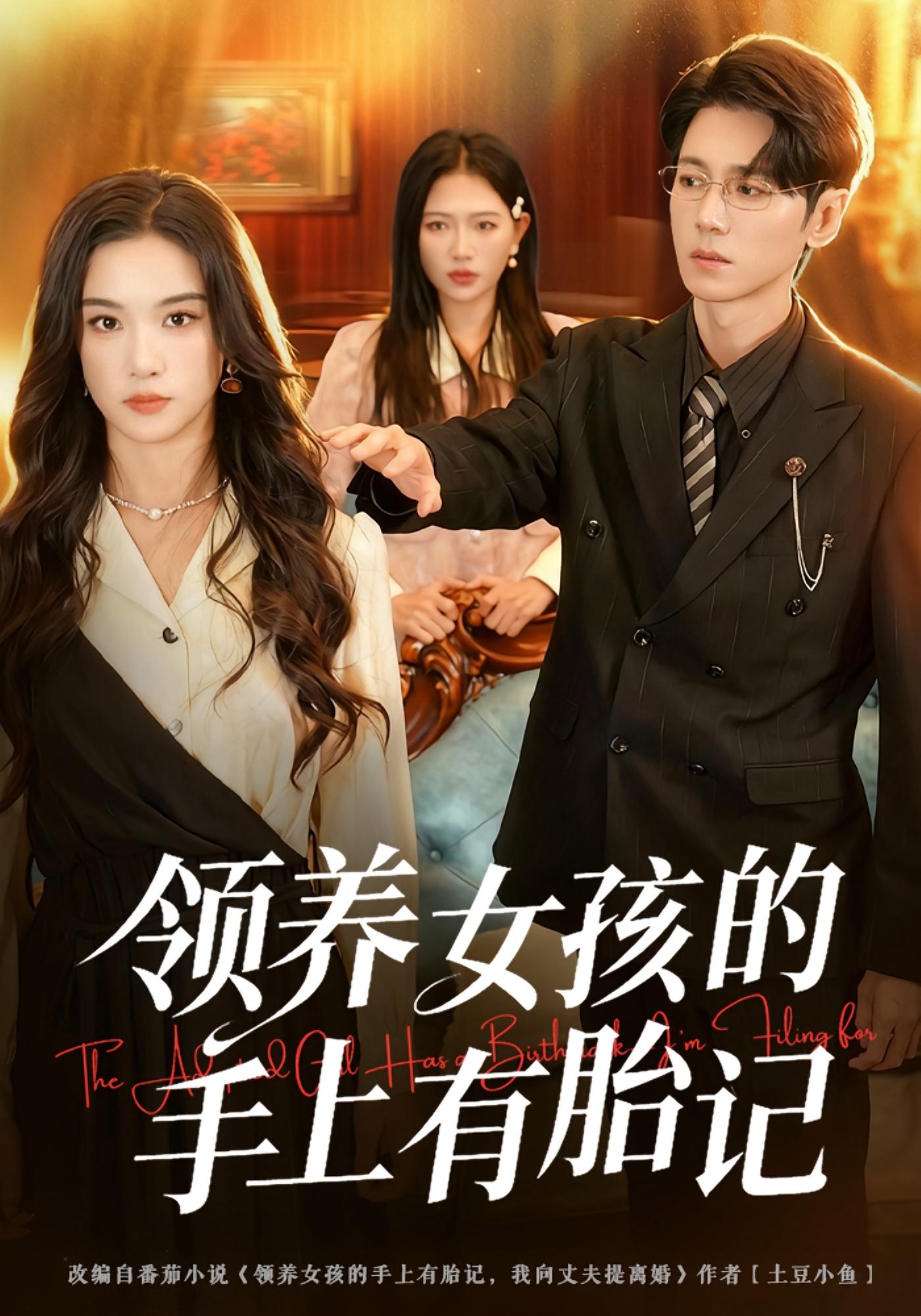 领养女孩的手上有胎记 女性成长·都市·全60集 何怡婷&杨欢&刘敏