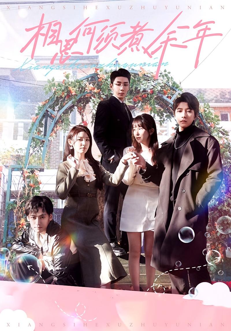 相思何须煮余年 都市情感·都市·全51集 刘博洋&澄芓