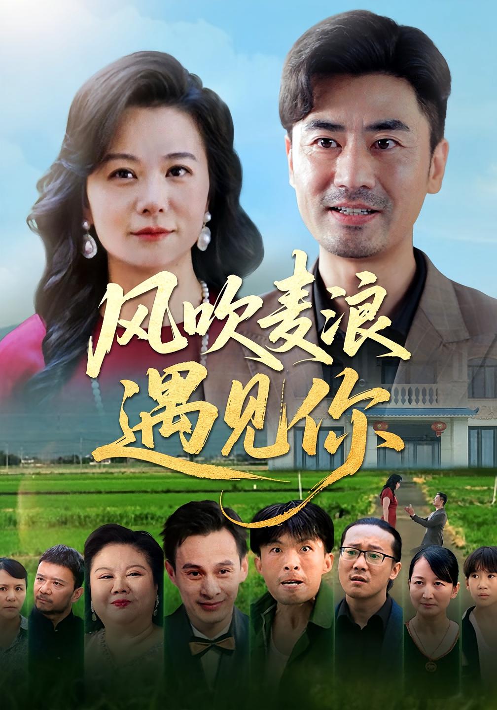 风吹麦浪遇见你 都市情感·都市·全60集 李泽阳&李晓&李易泽