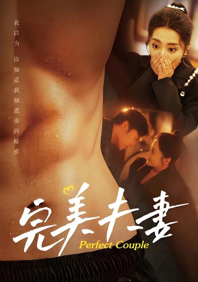 完美夫妻封面图