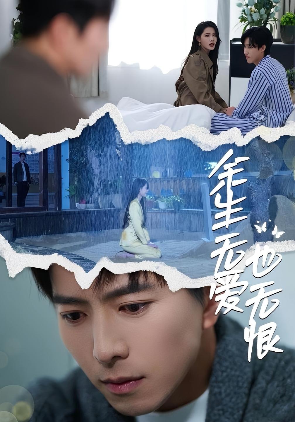 余生无爱也无恨 都市情感·都市·全60集 傅汉源&董洁&孙溪