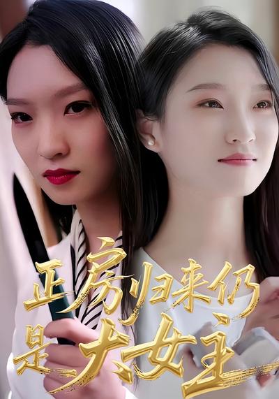 正房归来仍是大女主封面图