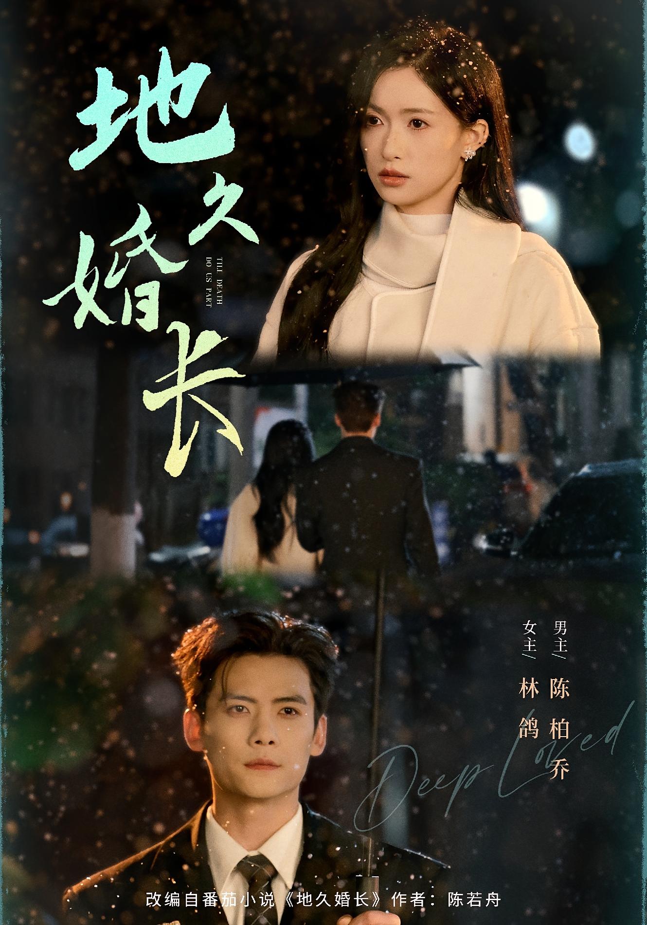 地久婚长 都市情感·总裁·全69集 林鸽&陈柏乔&姜沐妘