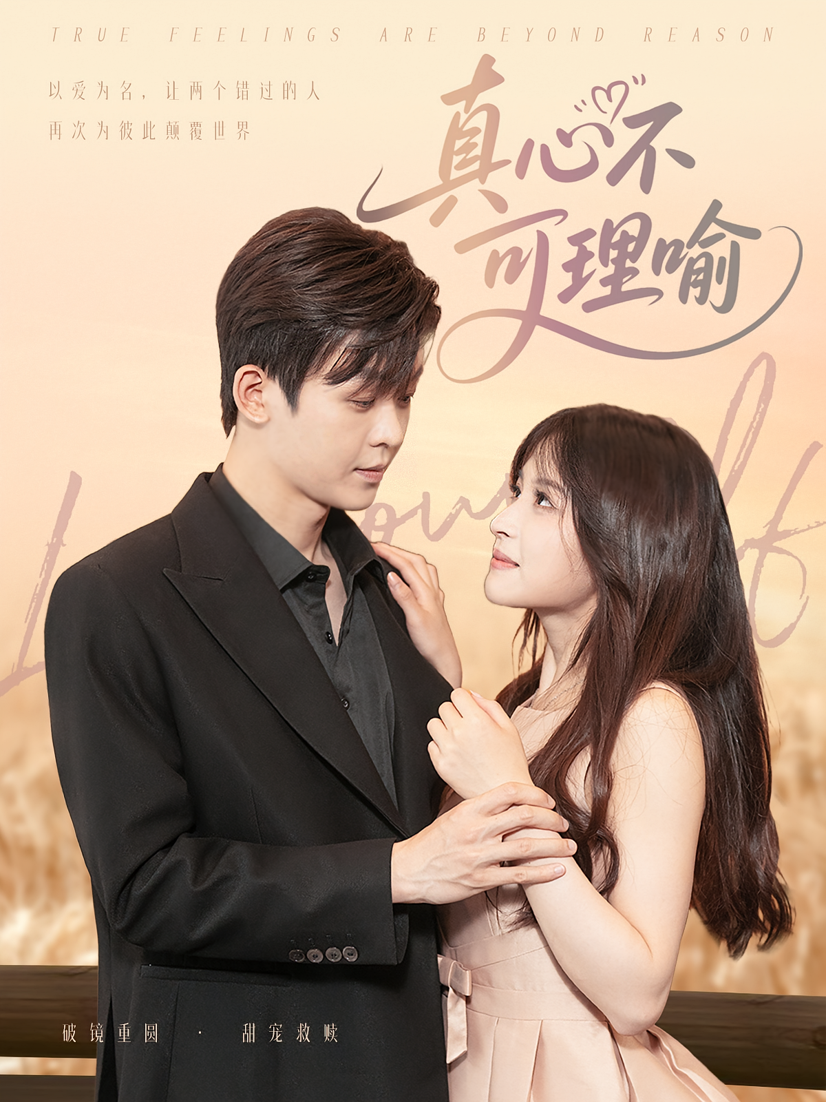 真心不可理喻 都市情感·总裁·全81集 家昊&赵飞雪&王子涵