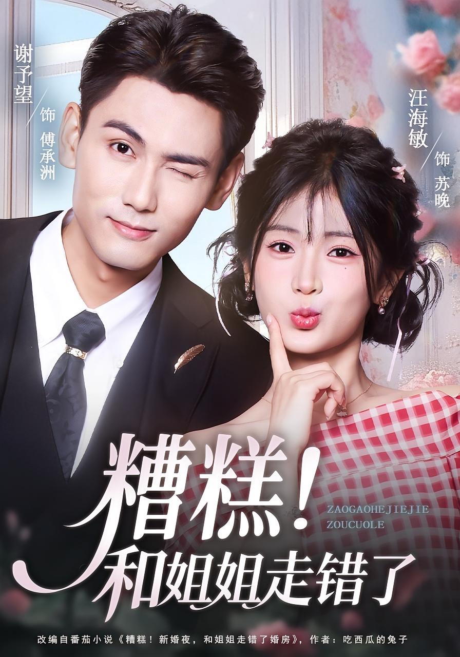 糟糕！和姐姐走错了 都市情感·总裁·全124集 汪海敏&谢予望&刘泽菲