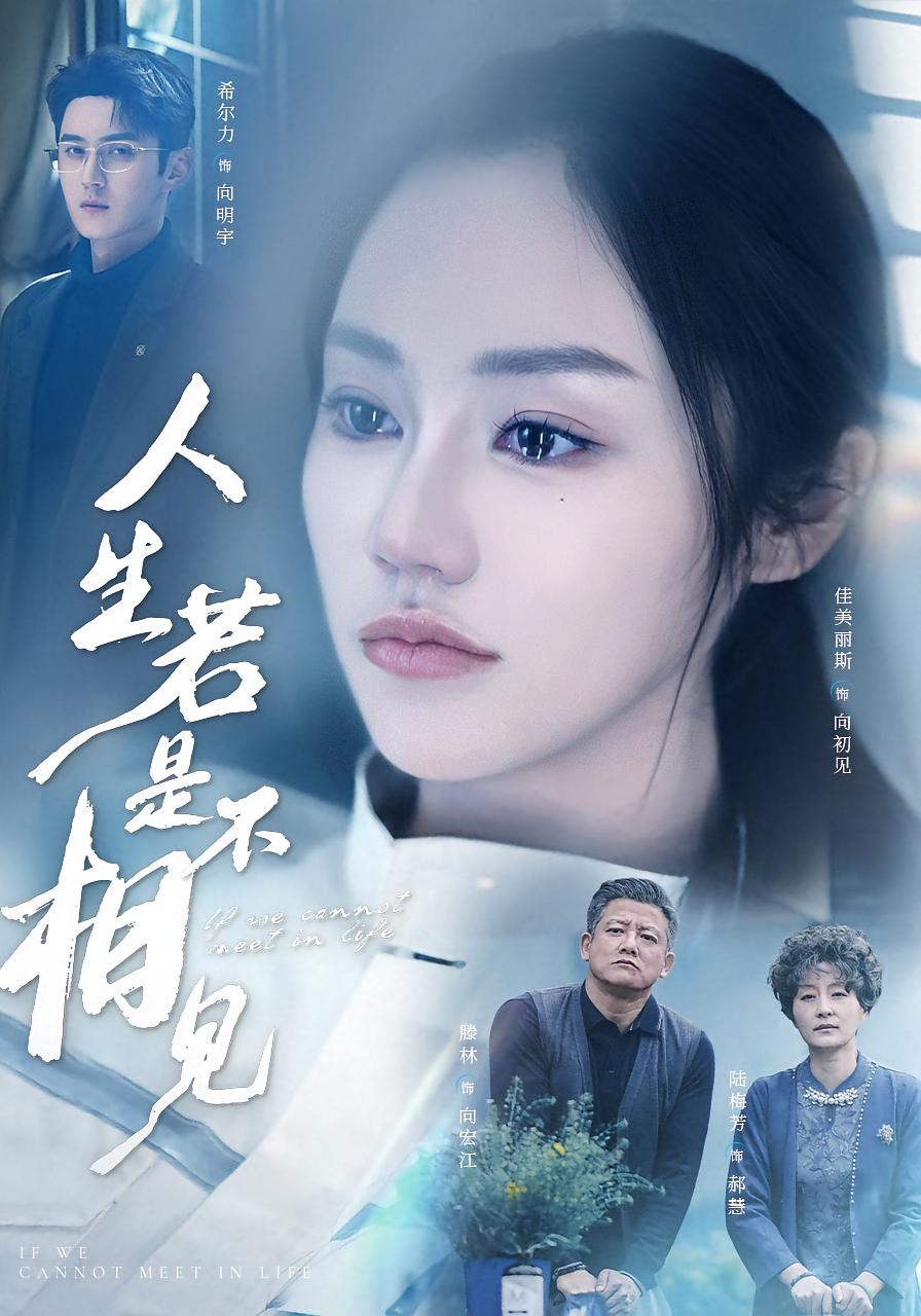 人生若是不相见 家庭伦理·亲情·全51集 佳美丽斯&希尔力&滕林