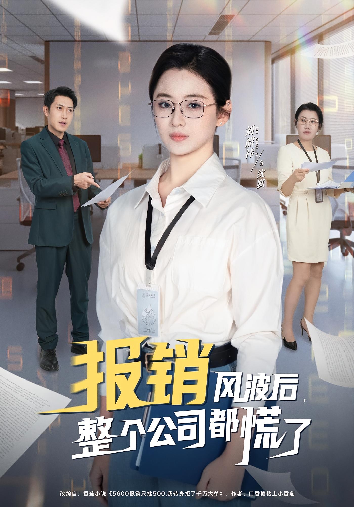 报销风波后，整个公司都慌了 女性成长·职场·全60集 刘韶祎&刘晓兵&王媛