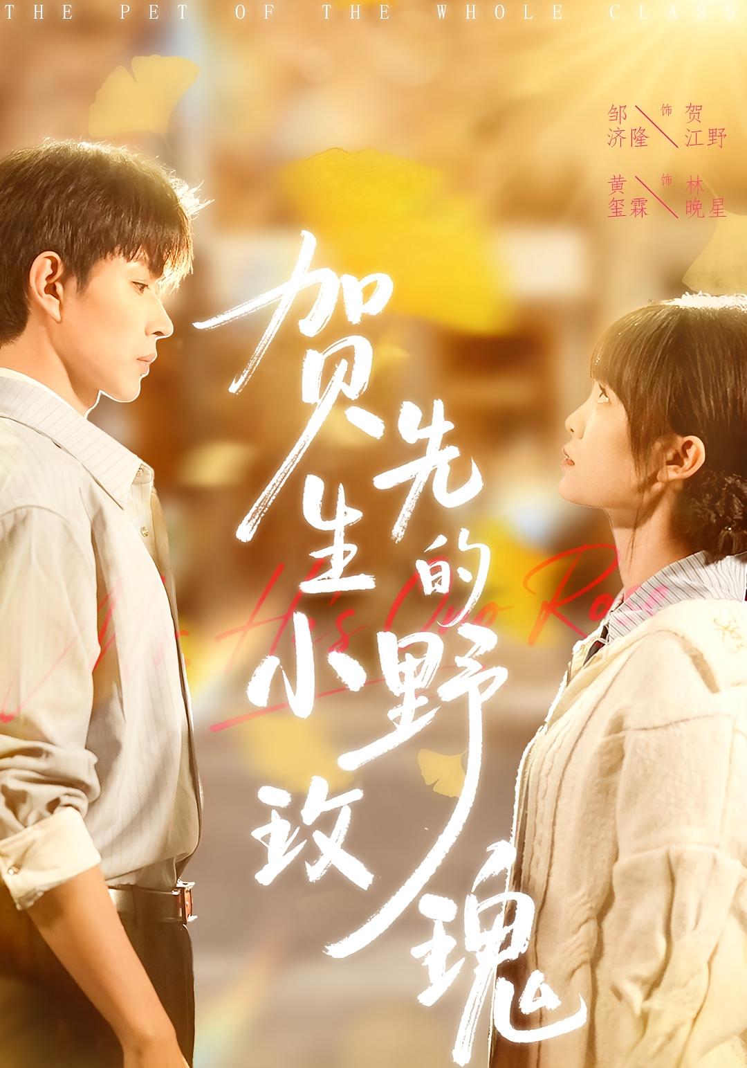 贺先生的小野玫瑰 都市情感·总裁·全99集 黄玺霖&邹济隆