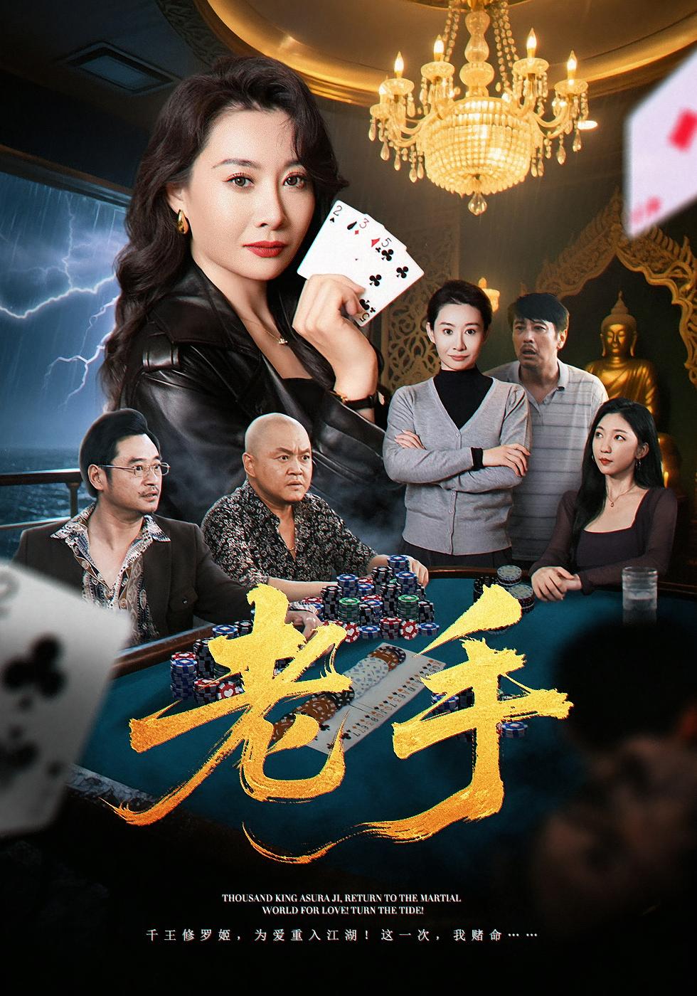 老手 女性成长·都市·全36集 王圻嘉&陈传凯&袁珉