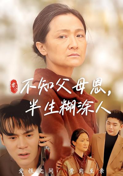 不知父母恩半生糊涂人封面图