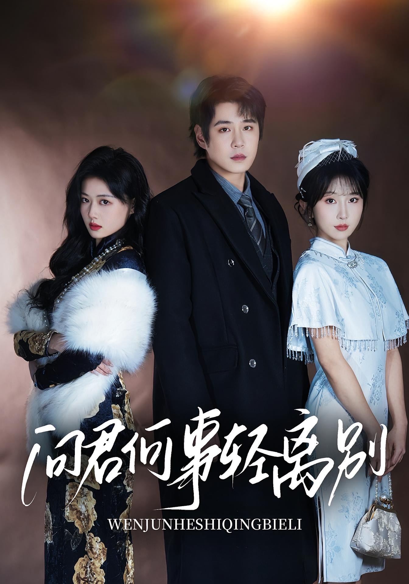 问君何事轻离别 现言虐恋·都市·全30集 程七月&李泽雨&程偲媛