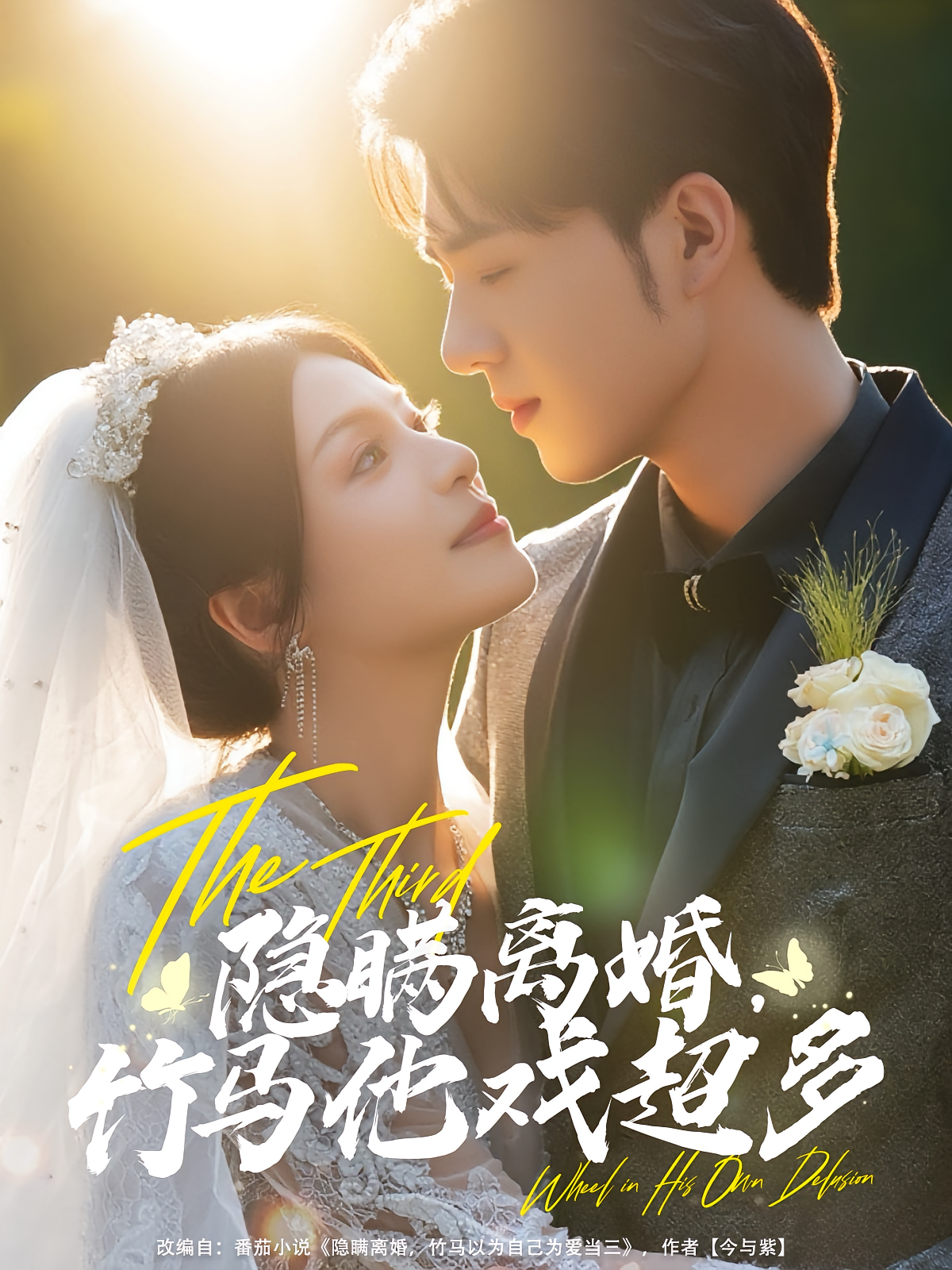 隐瞒离婚，竹马他戏超多 现言甜宠·总裁·全63集 曹千祎&陈楚洹&穆鹏宇