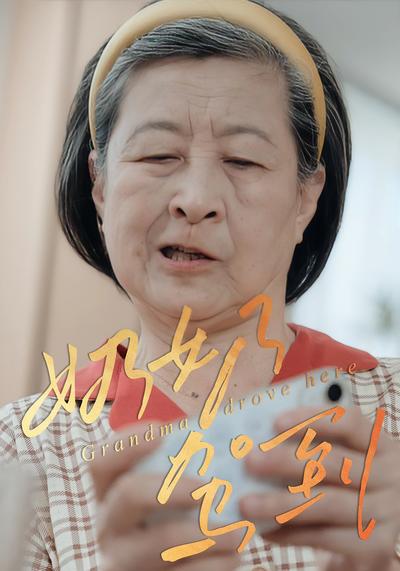 奶奶驾到封面图