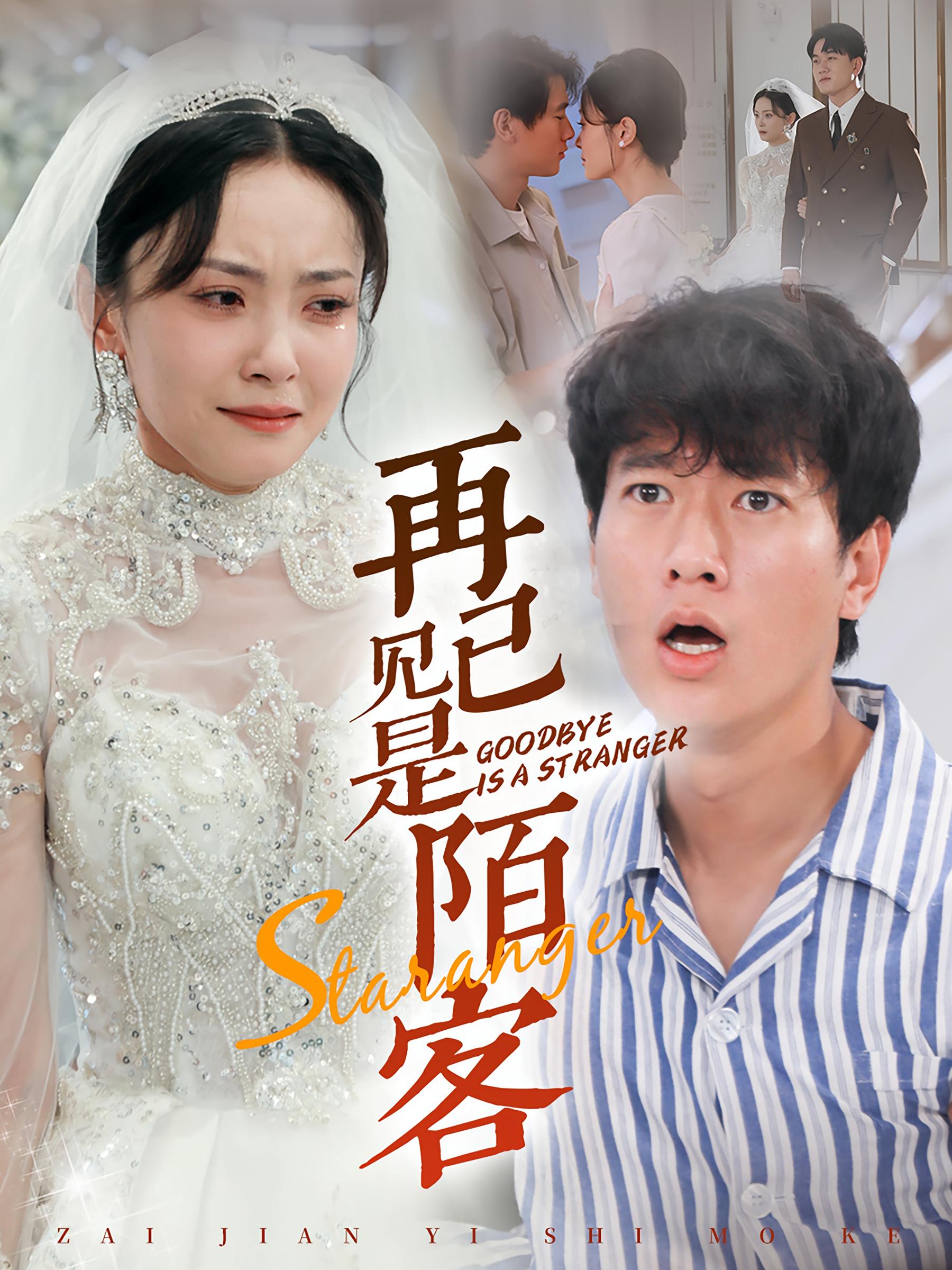 再见已是陌客 都市情感·总裁·全55集 张子安&宋美萱&潘艺虹