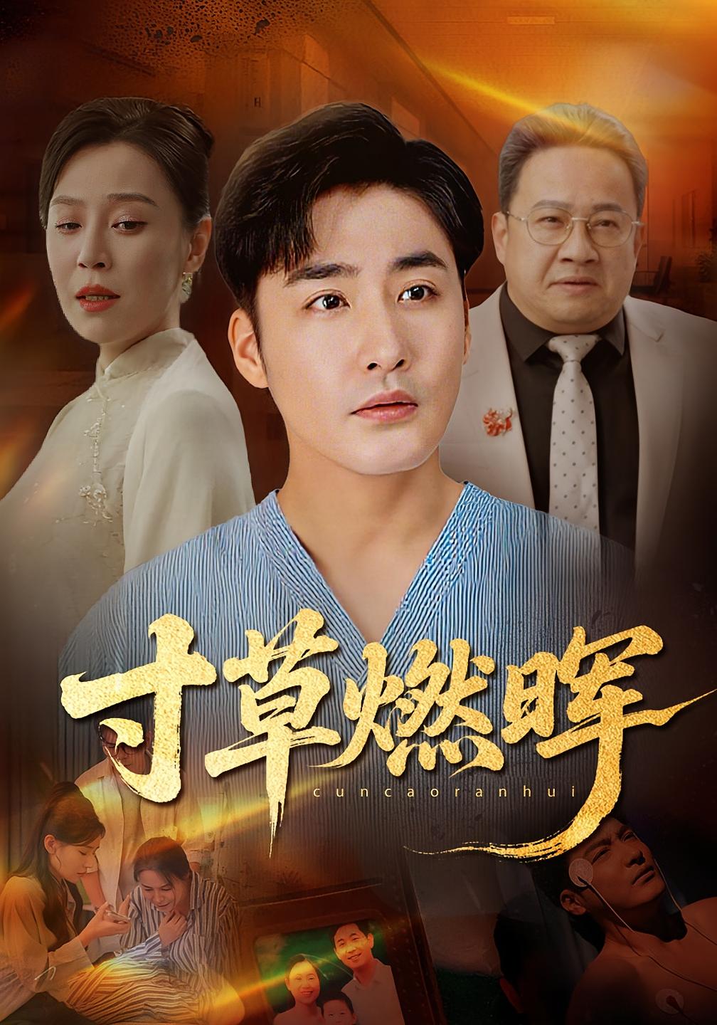 寸草燃晖 家庭伦理·都市·全70集 高婕&李季&张敏倩