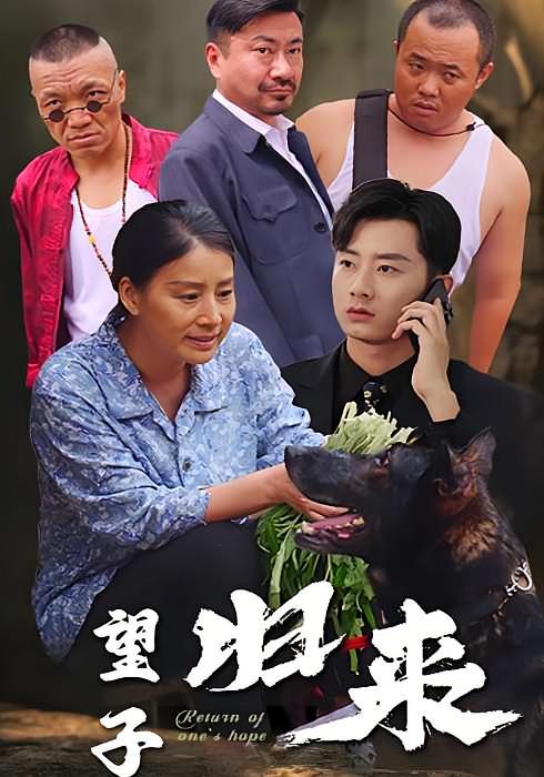 望子归来 都市日常·马甲·全50集 孙昊&朱小琼&曾祥羽