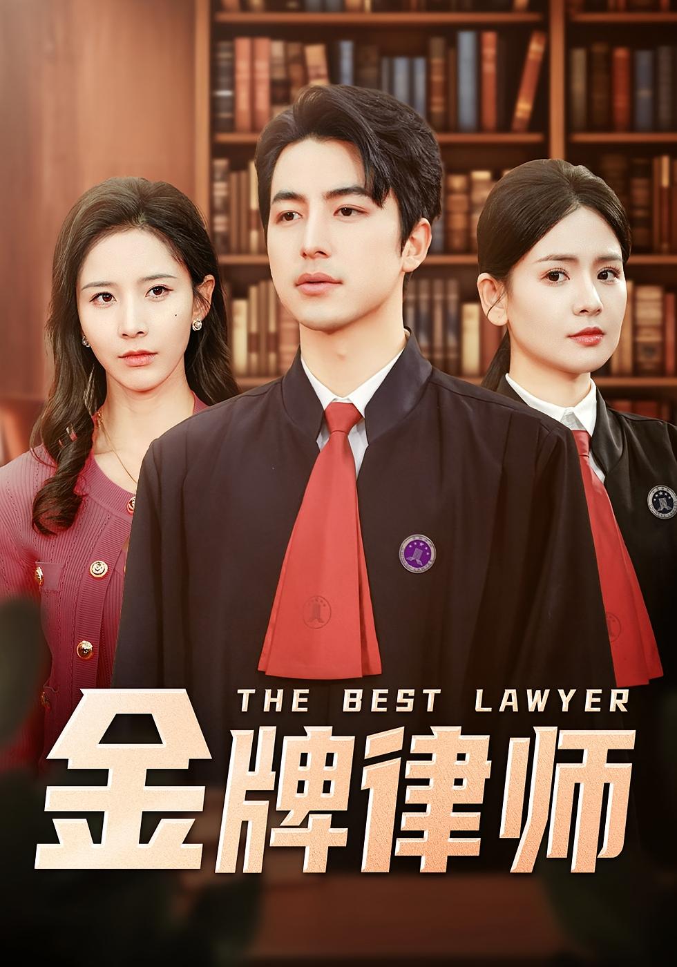 金牌律师 都市情感·马甲·全48集 丁晓&吴昊&李雯慧