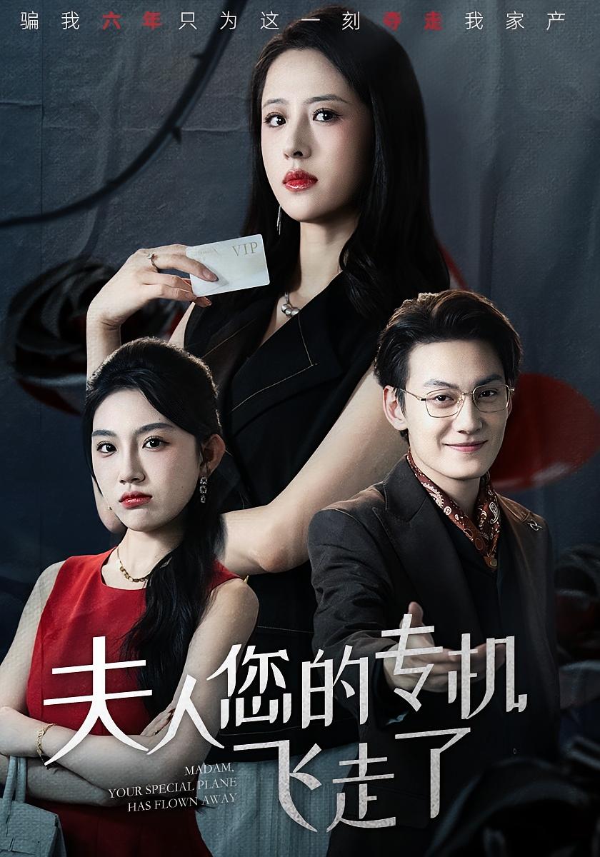 夫人您的专机飞走了 女性成长·都市·全62集 王婧琦&齐博然&陈泓龙