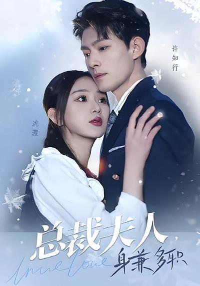 总裁夫人身兼多职