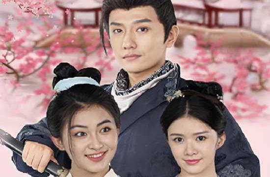 神医农女：买个相公来种田