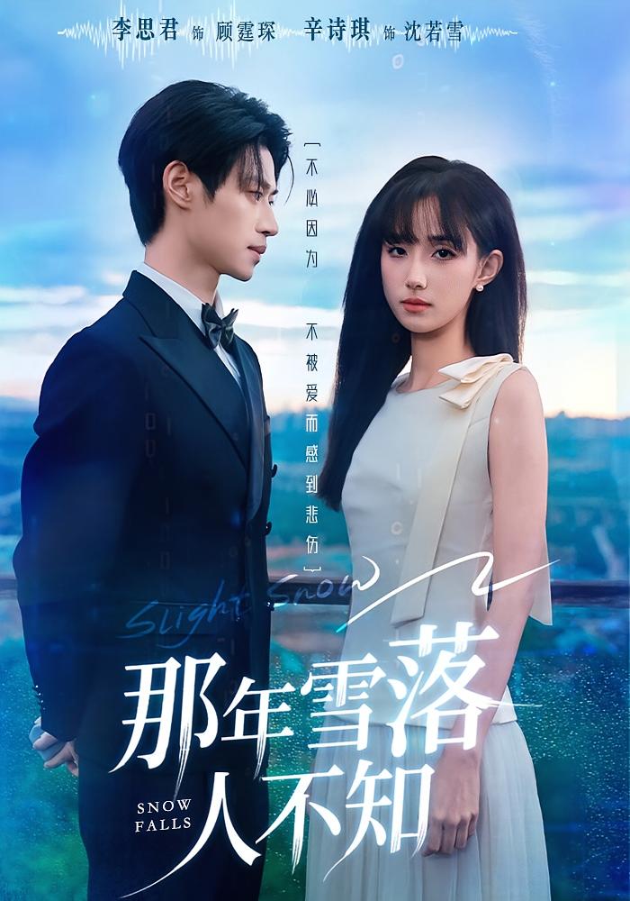 那年雪落人不知 女性成长·都市·全40集 辛诗琪&李思君&陈芮