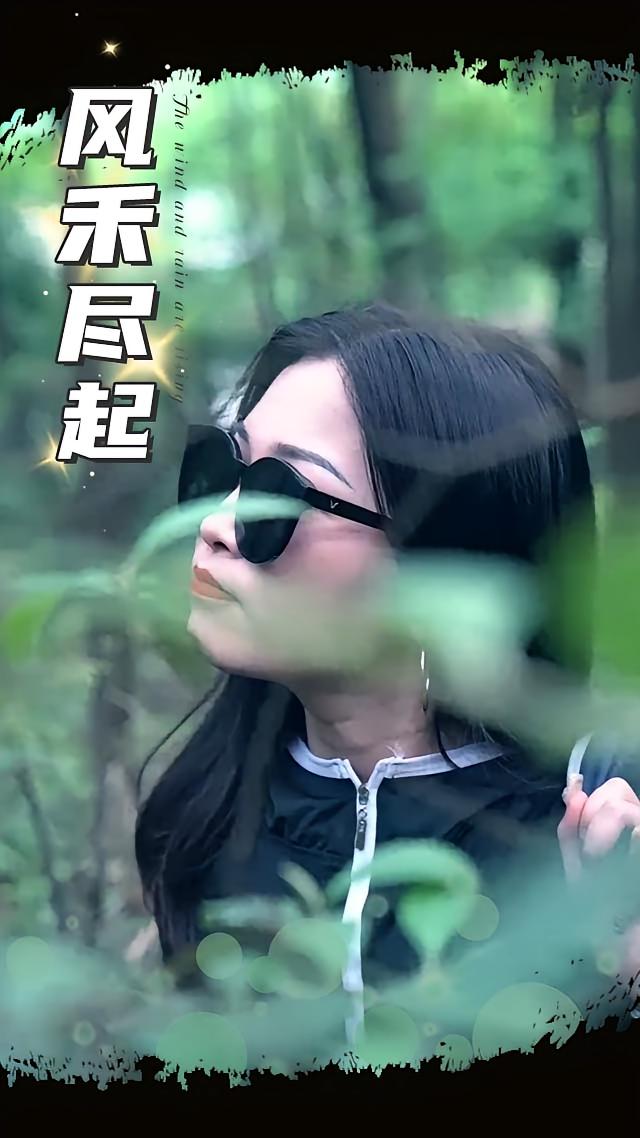 风禾尽起 打脸虐渣·总裁·全31集 程美琳