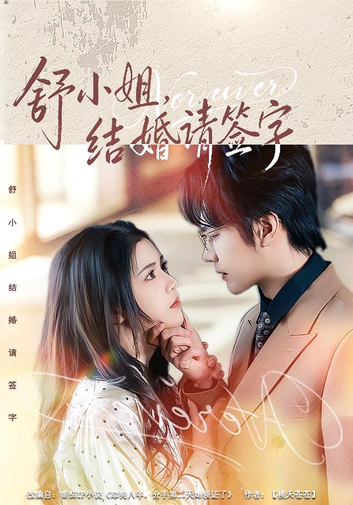 舒小姐，结婚请签字 都市情感·都市·全61集 赵垣又&杨紫艺&岳贺