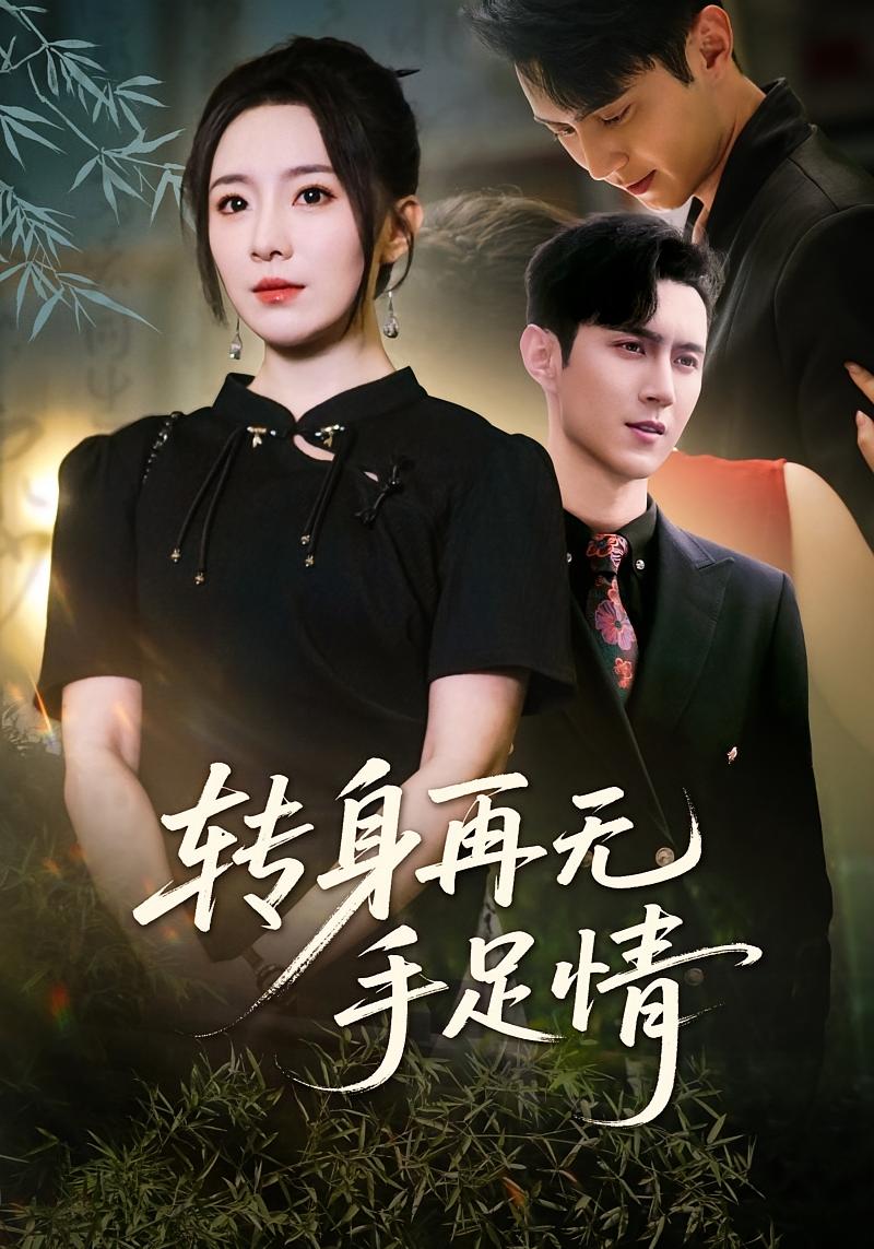 转身再无手足情 女性成长·都市·全77集 希尔力&薛大钊&周戈茜