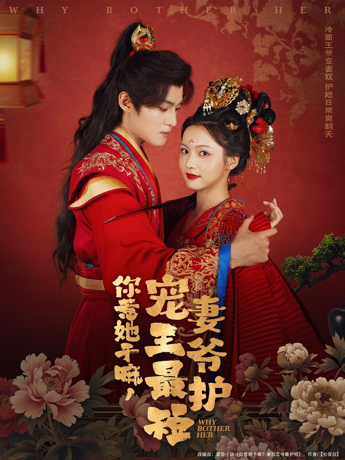 你惹她干嘛，宠妻王爷最护短 古风言情·穿越·全74集 谢鸿鑫&羽翎&王嘉慧