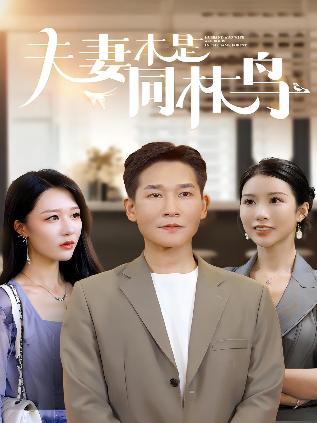 夫妻本是同林鸟 家庭伦理·都市·全76集 张旋&钟嘉玲&李可馨