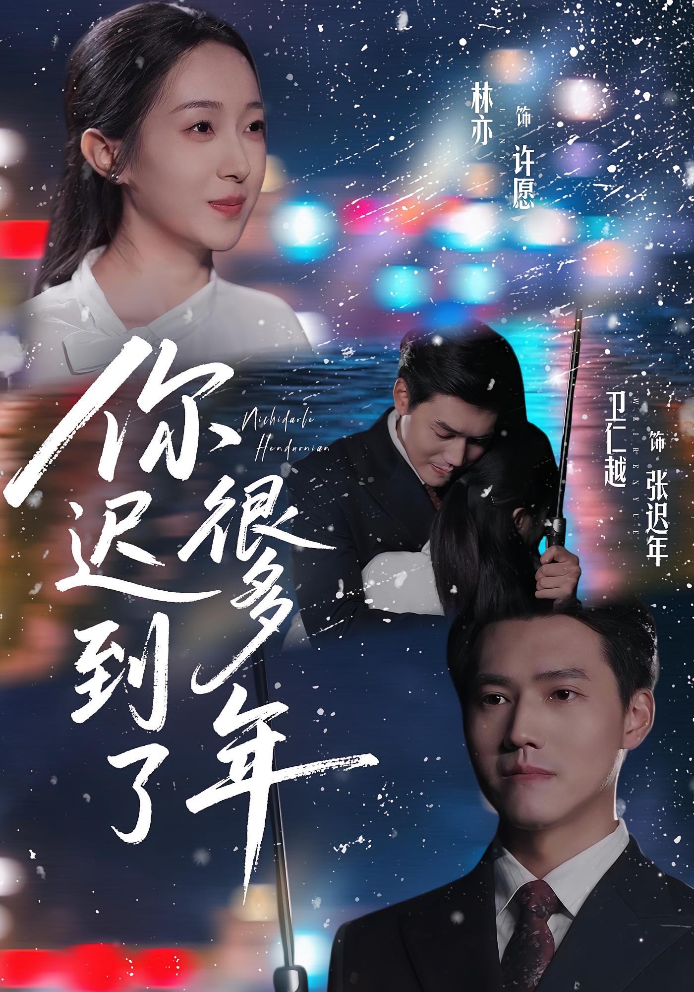 你迟到了很多年 都市情感·都市·全30集 卫仁越&林亦