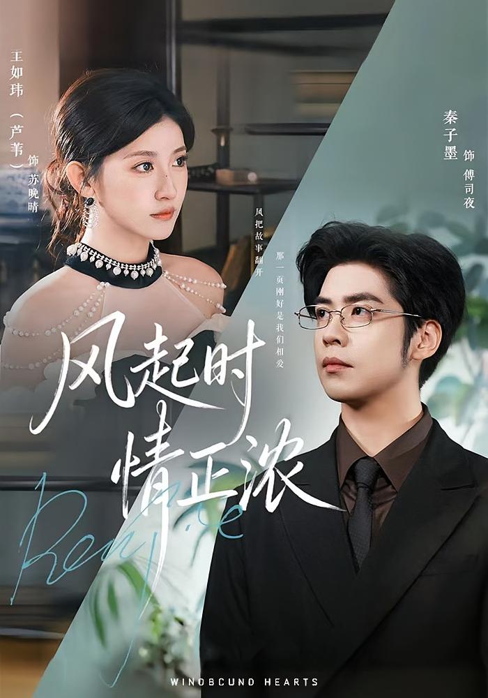 风起时情正浓 女性成长·都市·全79集 王如玮&秦子墨&常赫鸣