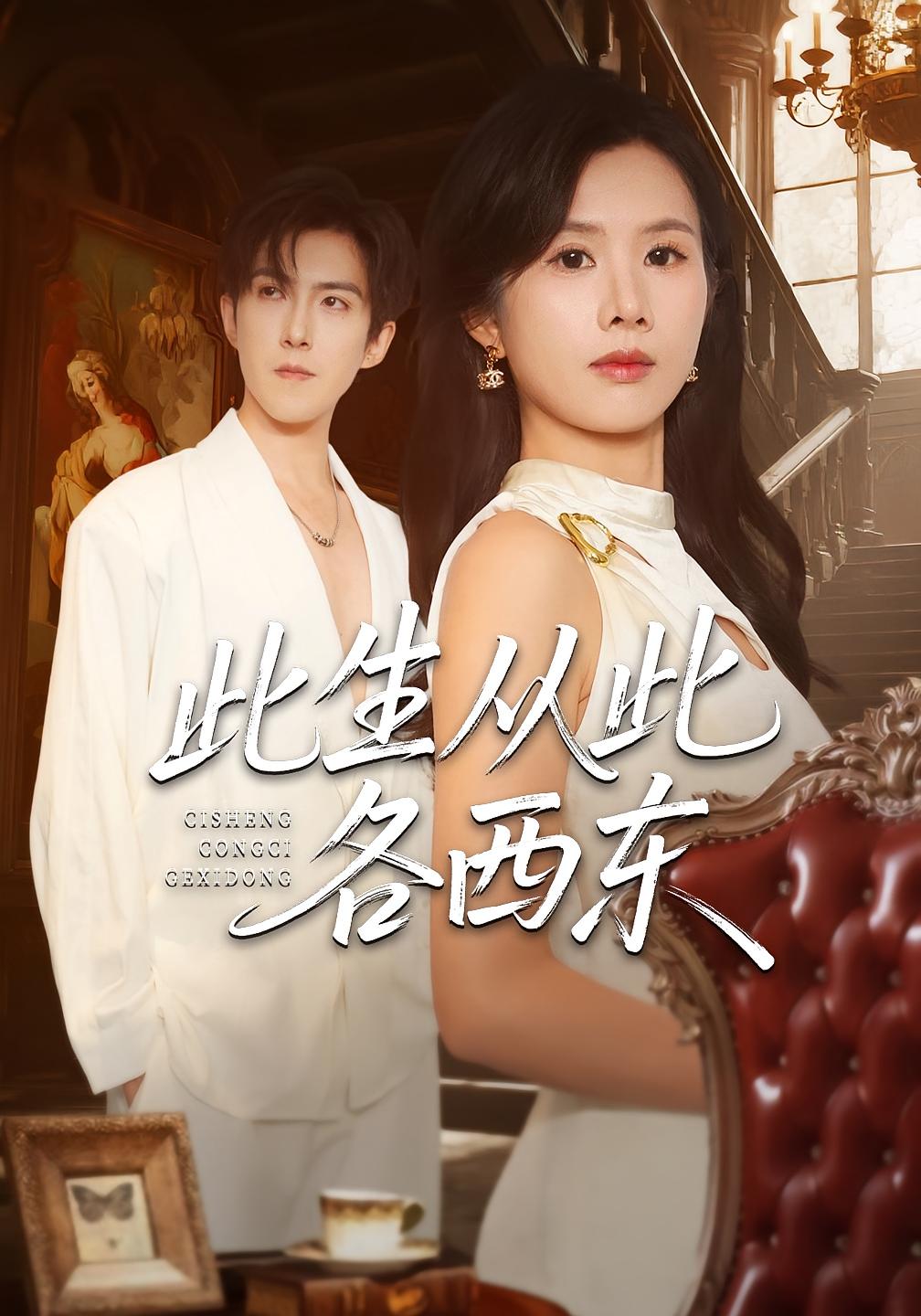 此生从此各西东 女性成长·都市·全60集 赵阿东&邓奕熙&孔雯雯