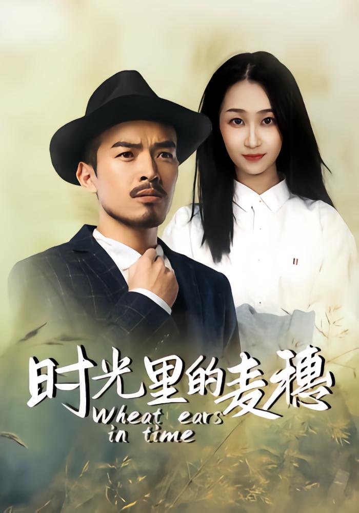 时光里的麦穗封面图