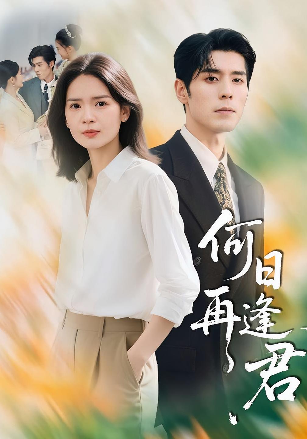 何日再逢君封面图