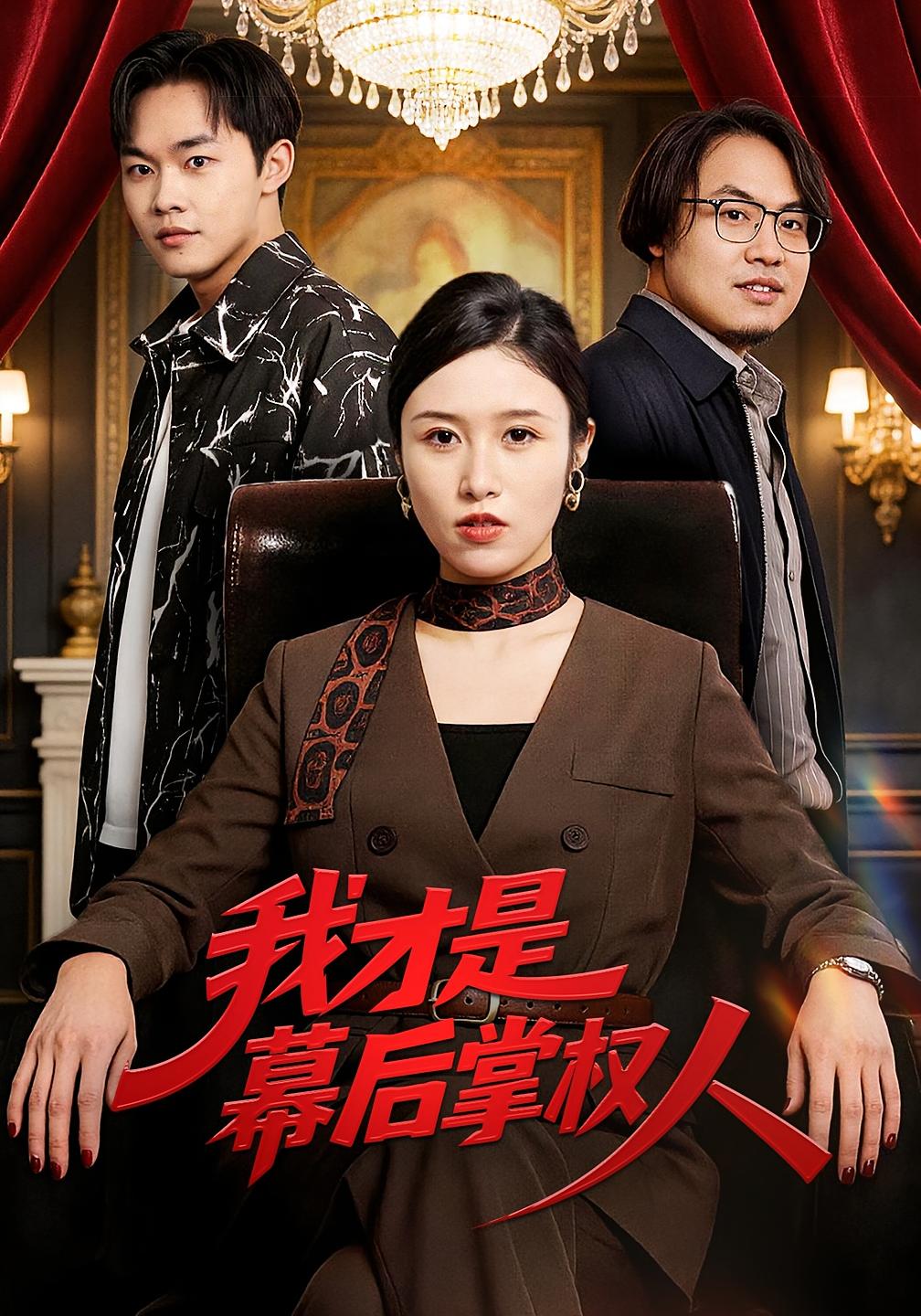 我才是幕后掌权人封面图
