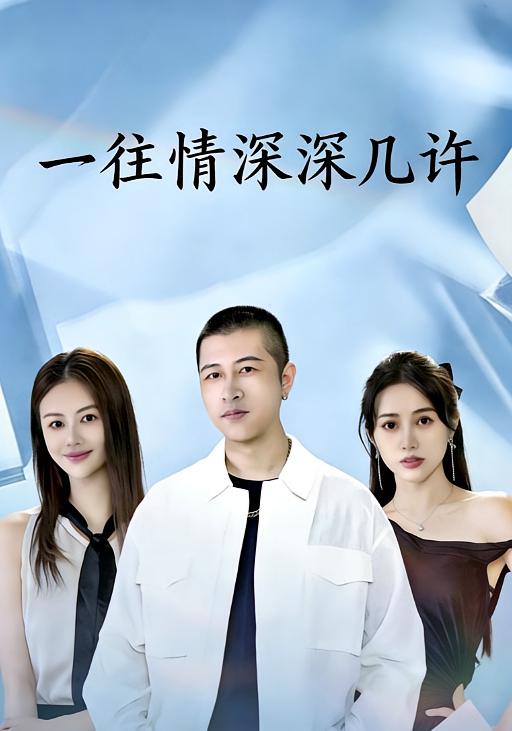 一往情深深几许封面图
