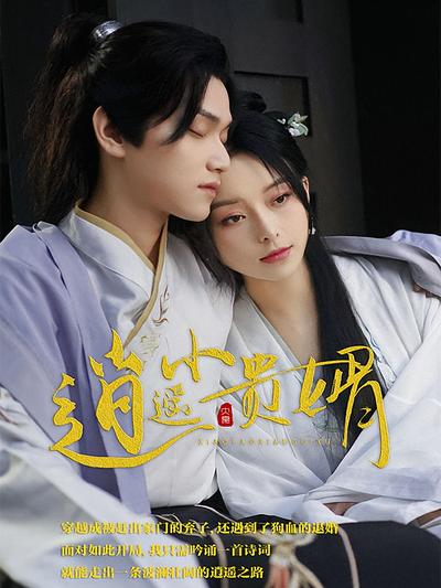 逍遥小贵婿封面图