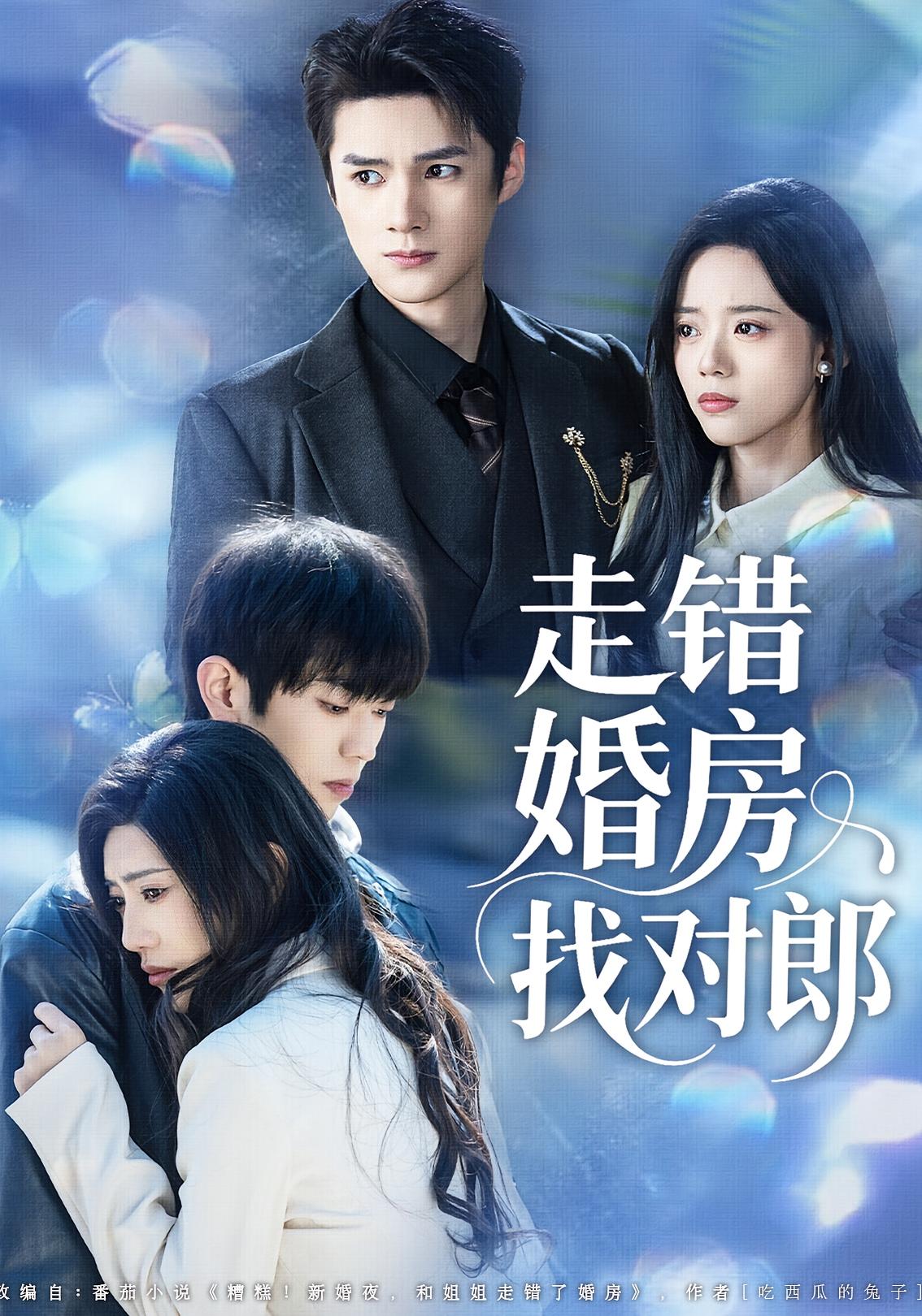走错婚房找对郎 都市情感·群像·全50集 刘辰锐&刘艺然&潘广润