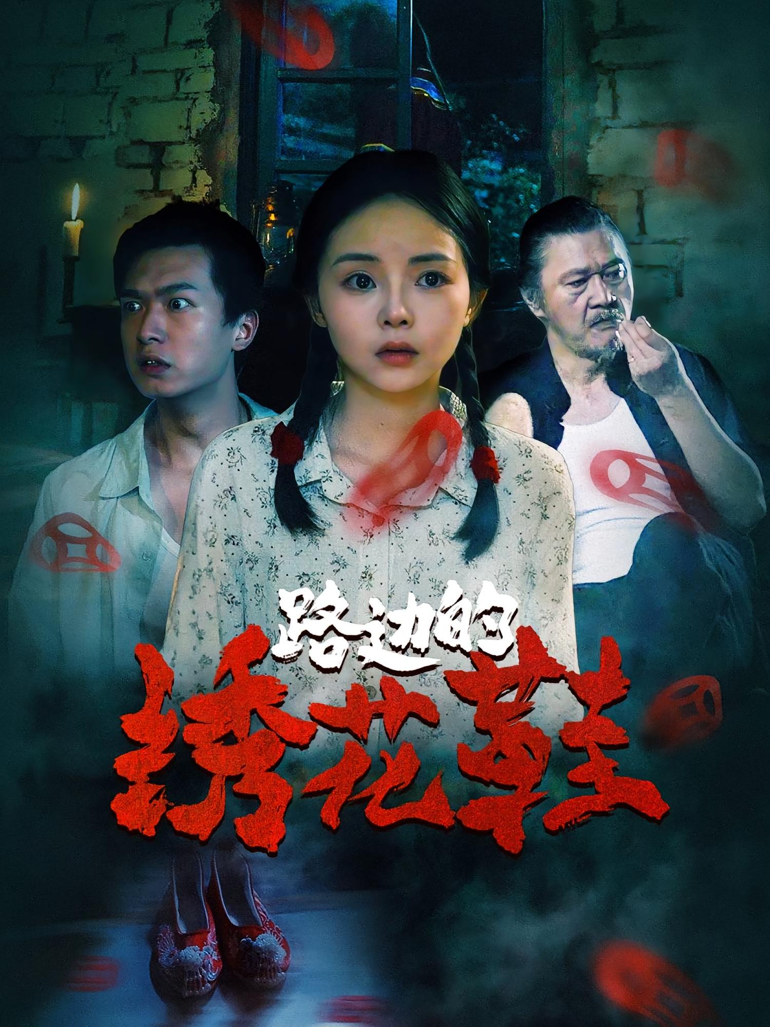 路边的绣花鞋 悬疑灵异·群像·全25集 张月&黄征